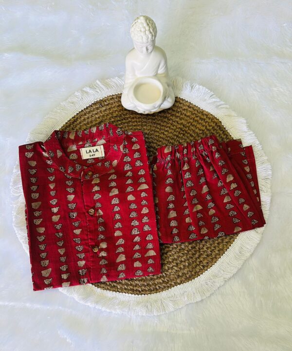 Maroon Animal Print Co-Ord Set Dress