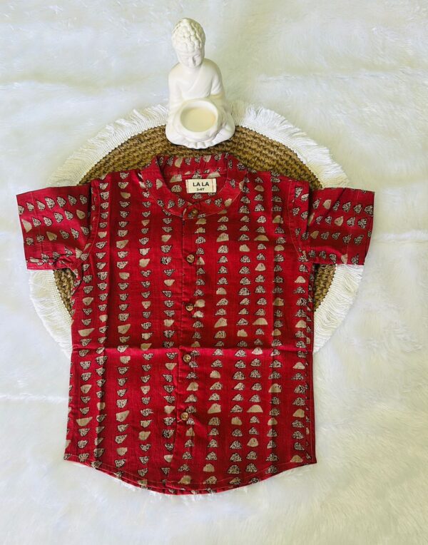Maroon Animal Print Co-Ord Set Dress
