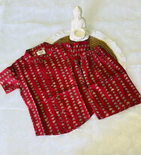 Maroon Animal Print Co-Ord Set Dress
