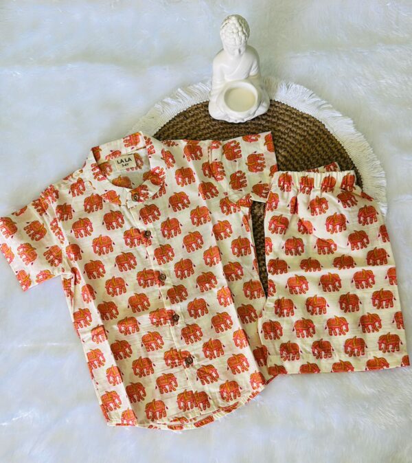 White Elephant Print Co-Ord Set Dress