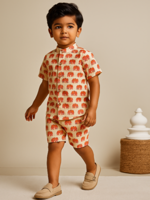 White Elephant Print Co-Ord Set Dress