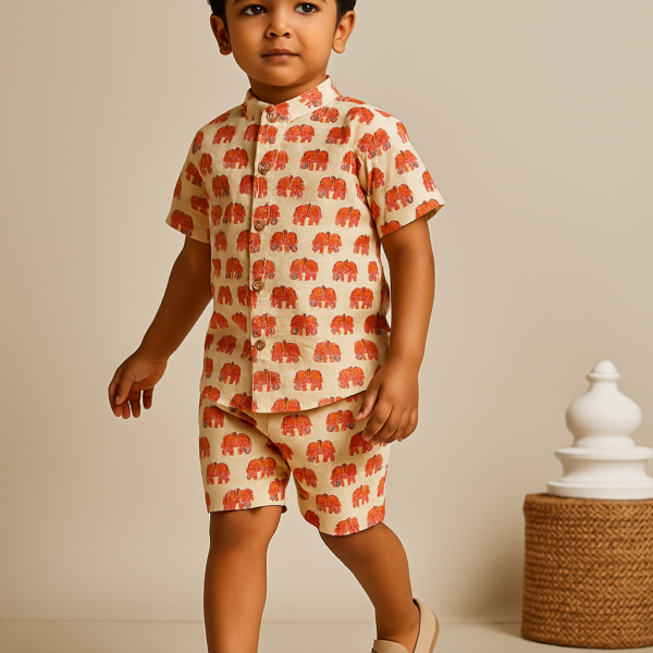 White Elephant Print Co-Ord Set Dress
