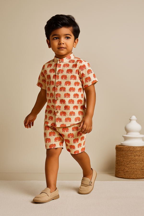 White Elephant Print Co-Ord Set Dress